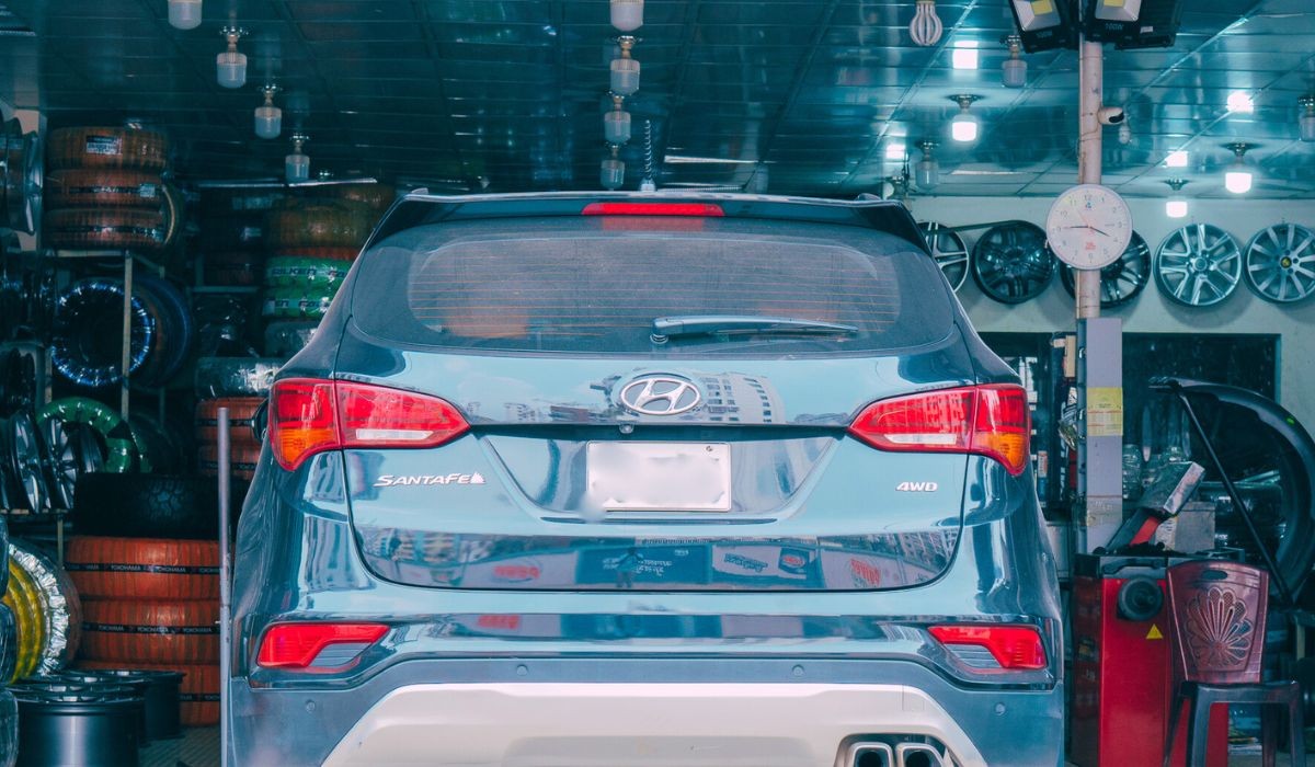 Mastodon Marketplace Limited promo