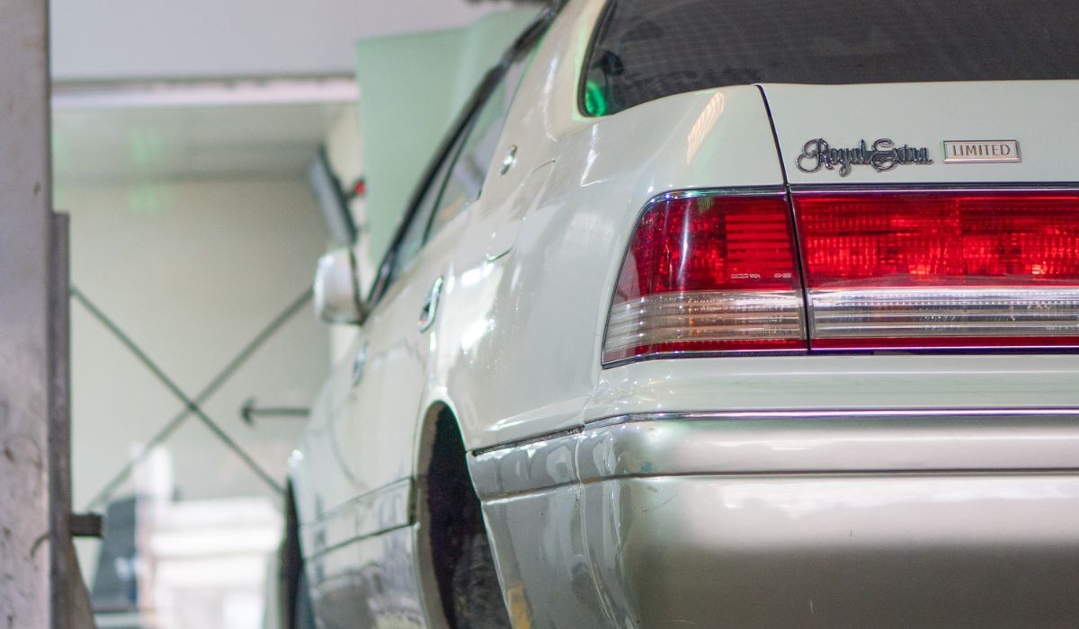 Mastodon Marketplace Limited promo